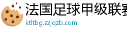 法国足球甲级联赛